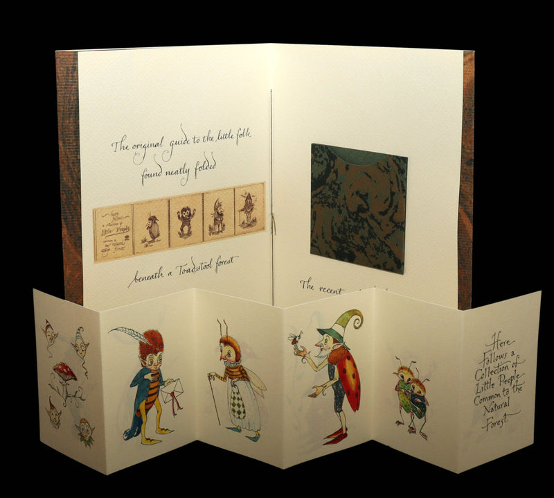 2018 - Collection of Little People Common to the Forest Signed by C. van Sandwyk
