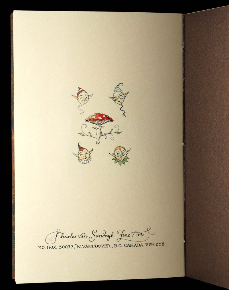 2018 - Collection of Little People Common to the Forest Signed by C. van Sandwyk