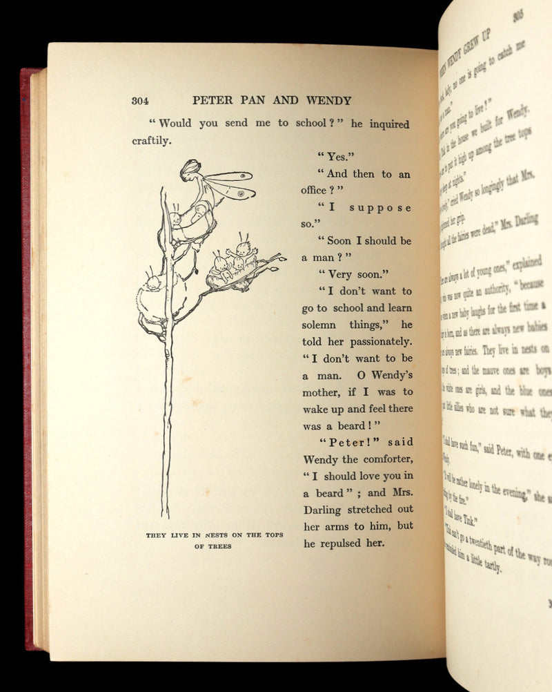 1925 Rare Book - Peter Pan and Wendy Illustrated by Mabel Lucie Attwell