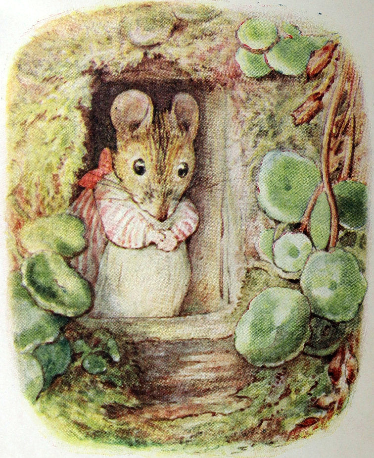 1910 Rare Early Edition - The Tale of Mrs. Tittlemouse by Beatrix Potter