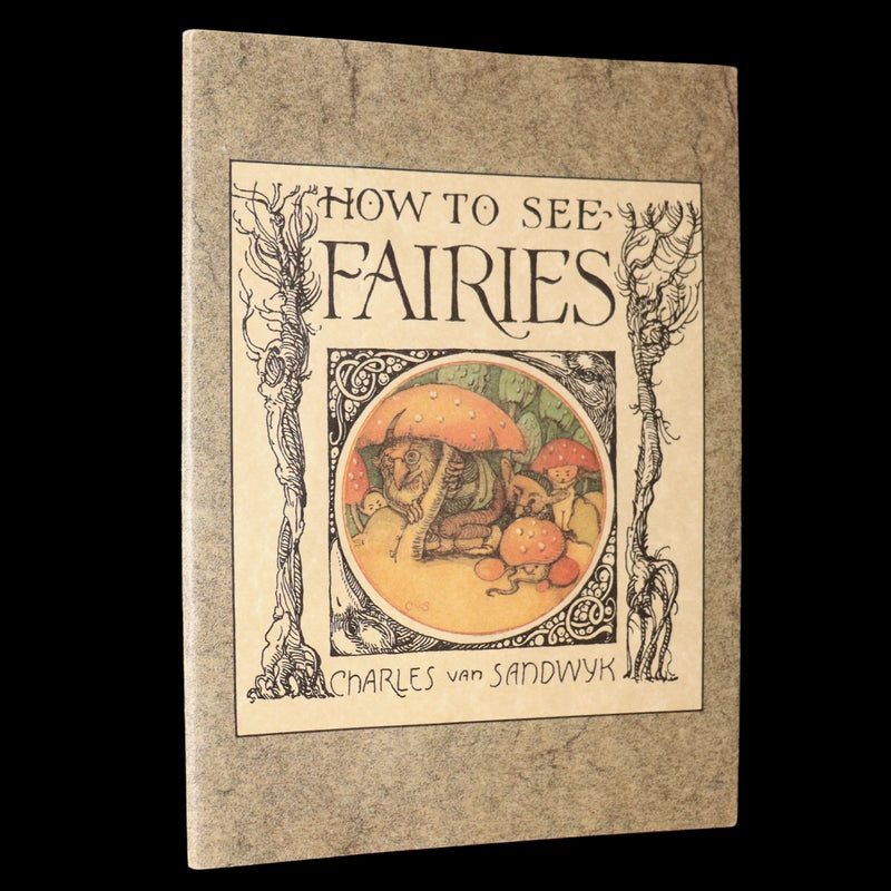 1993 Scarce First Edition - How to See Fairies by Charles van Sandwyk