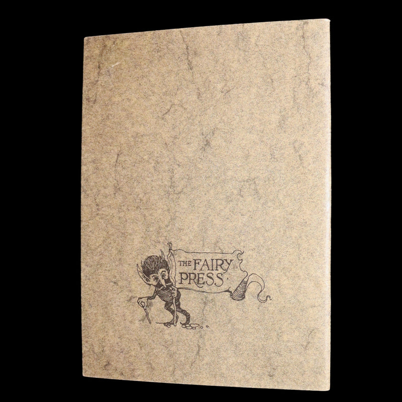 1993 Scarce First Edition - How to See Fairies by Charles van Sandwyk