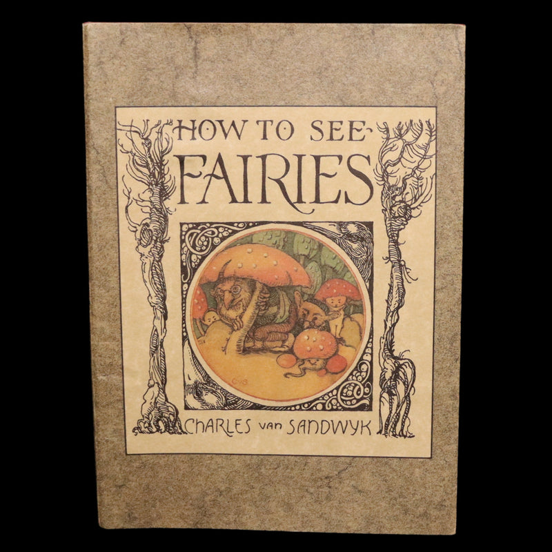 1993 Scarce First Edition - How to See Fairies by Charles van Sandwyk