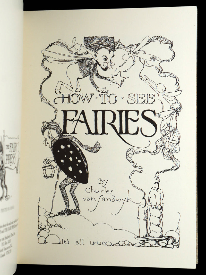 1993 Scarce First Edition - How to See Fairies by Charles van Sandwyk
