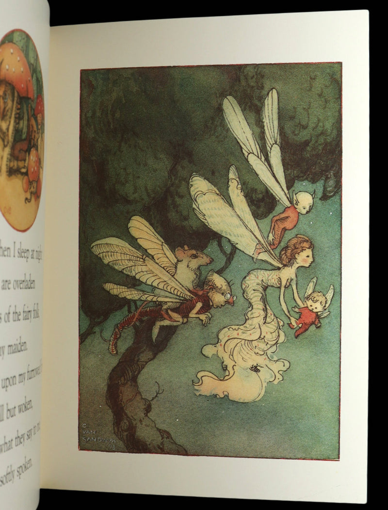 1993 Scarce First Edition - How to See Fairies by Charles van Sandwyk