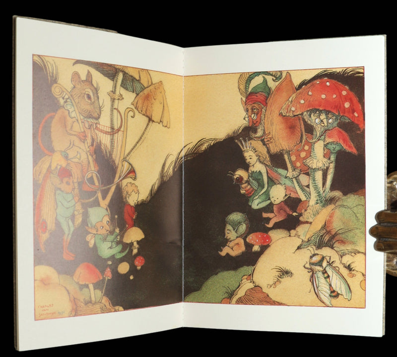 1993 Scarce First Edition - How to See Fairies by Charles van Sandwyk