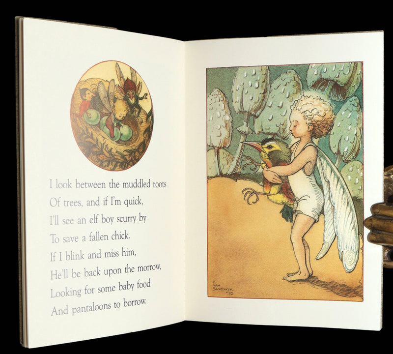 1993 Scarce First Edition - How to See Fairies by Charles van Sandwyk