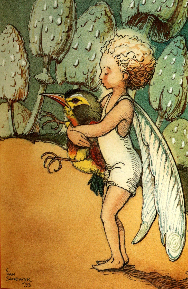 1993 Scarce First Edition - How to See Fairies by Charles van Sandwyk
