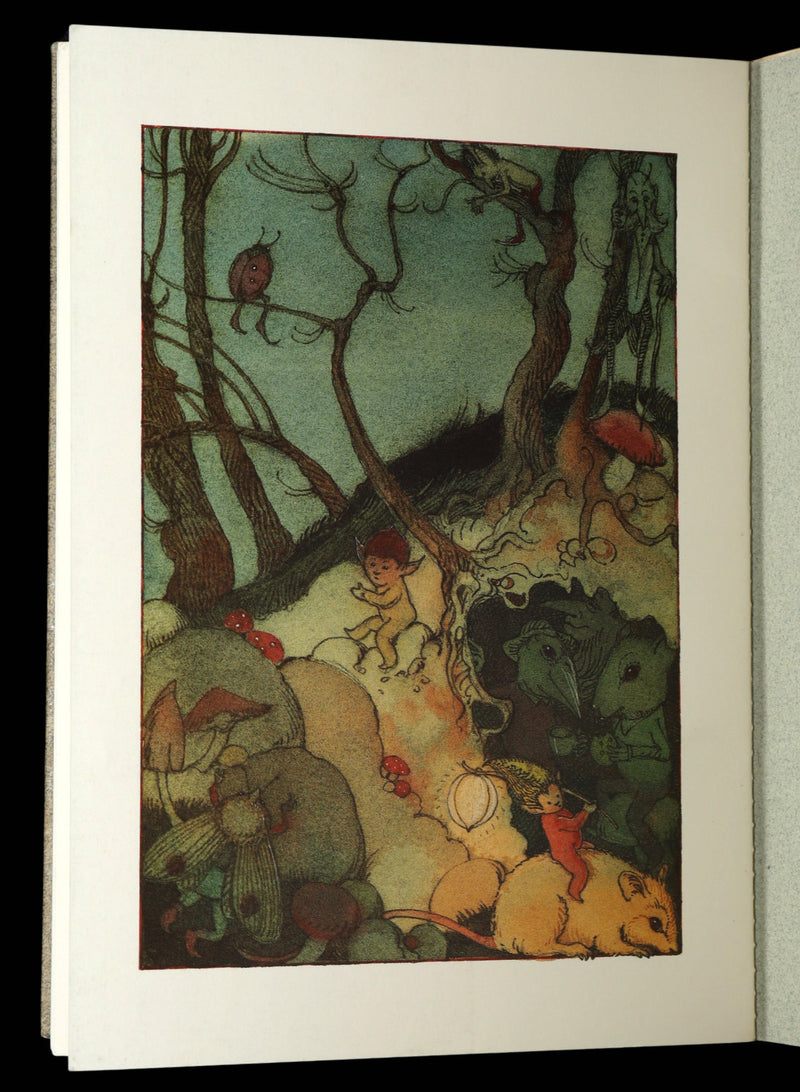 1993 Scarce First Edition - How to See Fairies by Charles van Sandwyk