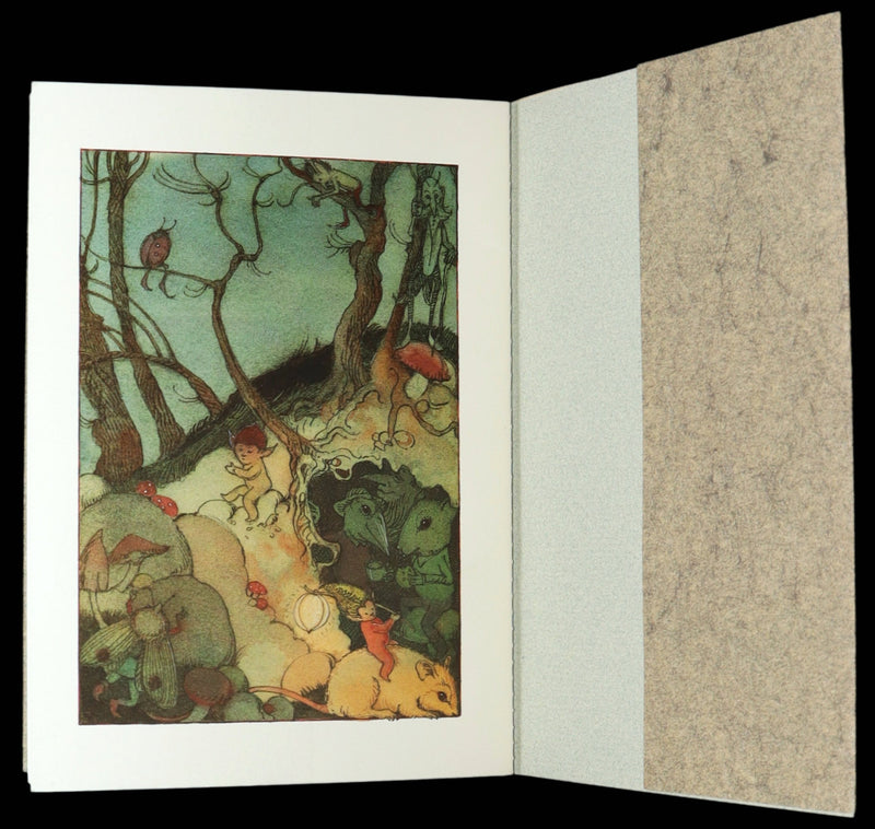 1993 Scarce First Edition - How to See Fairies by Charles van Sandwyk