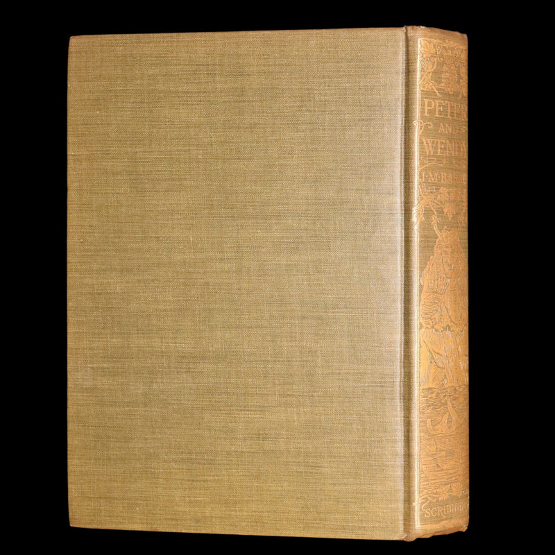 1911 Rare Peter Pan First Edition - Peter and Wendy by James Matthew Barrie