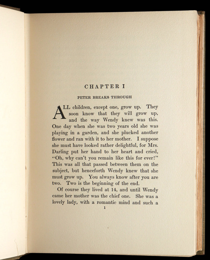 1911 Rare Peter Pan First Edition - Peter and Wendy by James Matthew Barrie