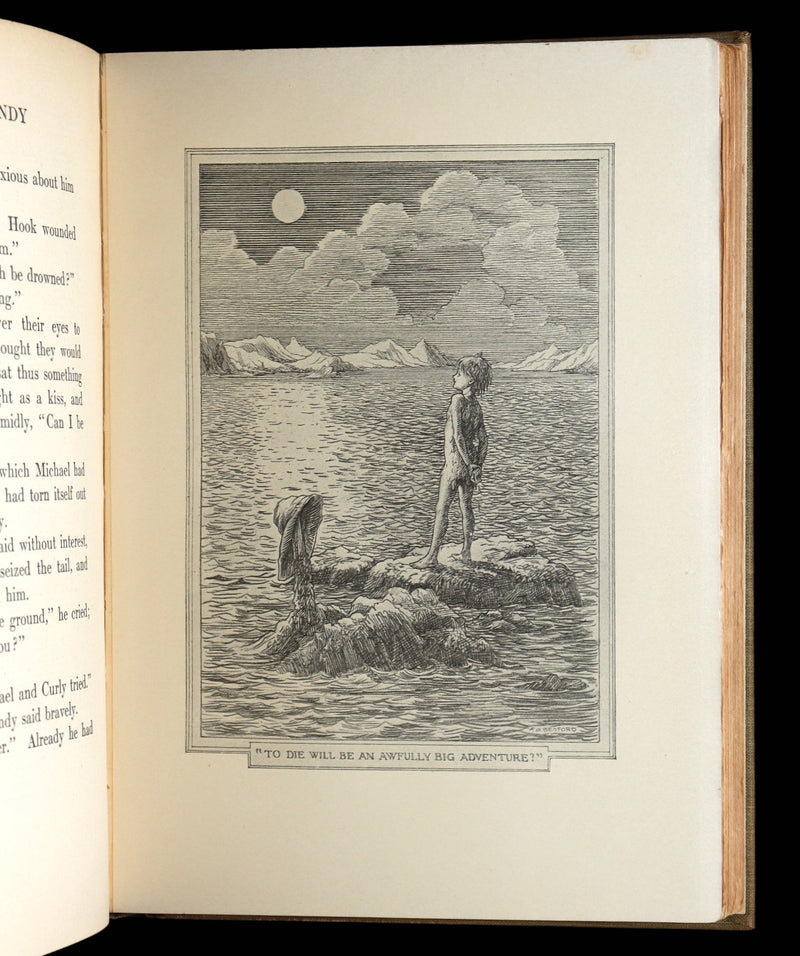 1911 Rare Peter Pan First Edition - Peter and Wendy by James Matthew Barrie