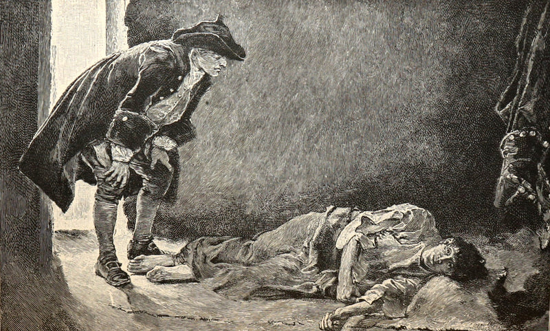 1888 Rare First Edition- The Rose of Paradise, A Pirate Adventure by Howard Pyle