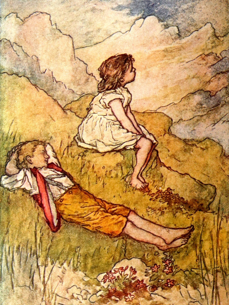 1920 Rare Book - Heidi by Johanna Spyri illustreated by Lizzie Lawson