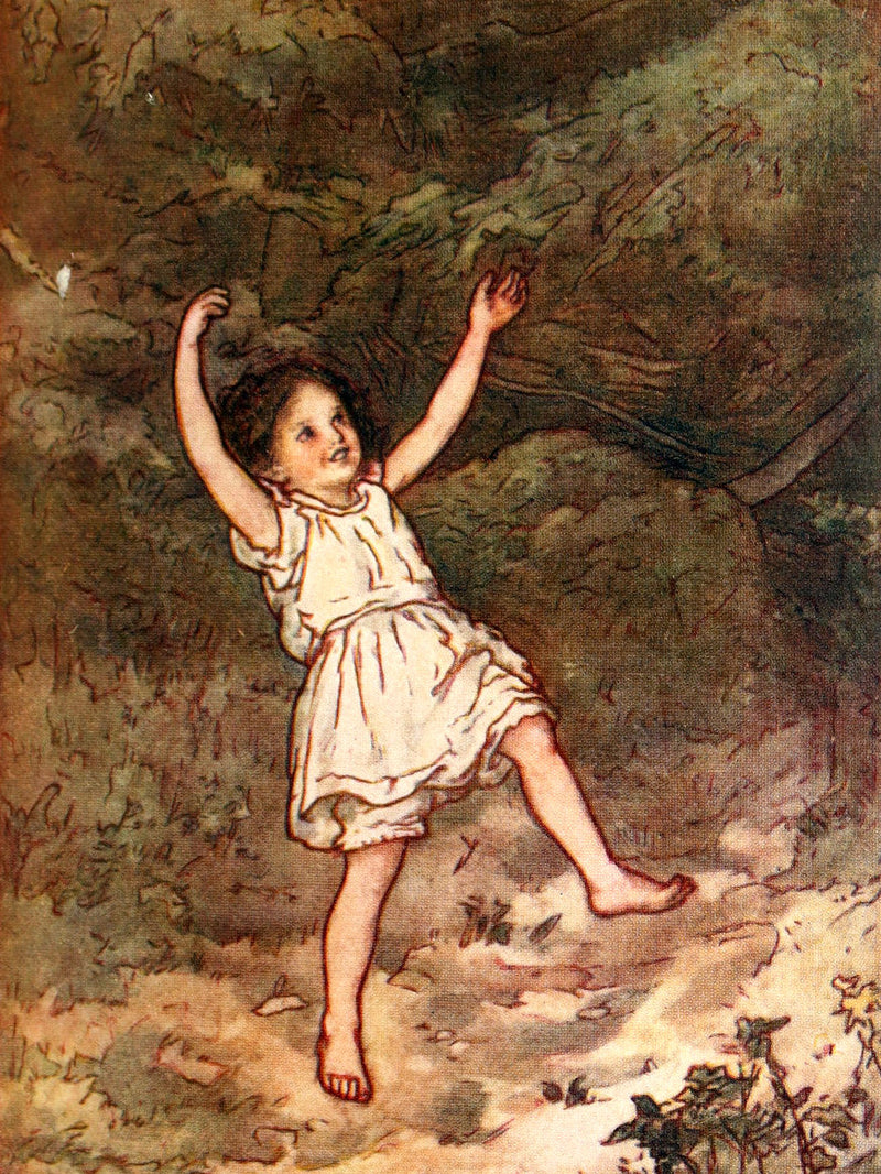 1920 Rare Book - Heidi by Johanna Spyri illustreated by Lizzie Lawson