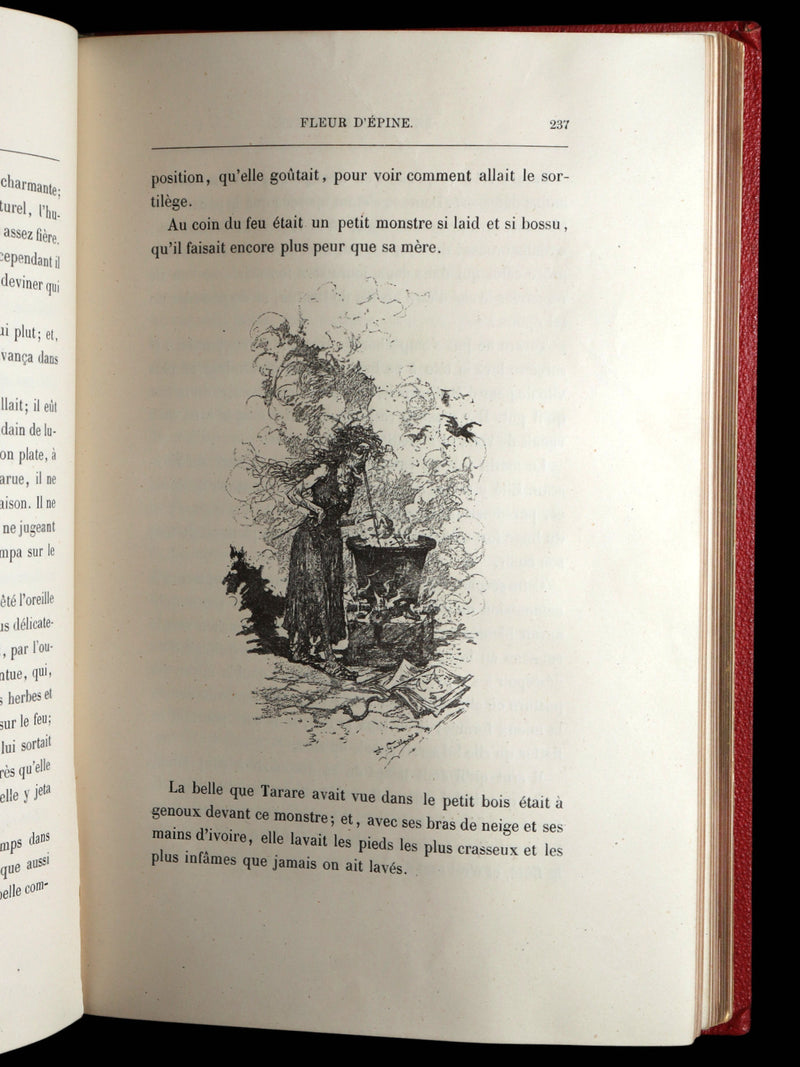1883 Rare French Book - Le Monde Enchanté -The Enchanting World by M. de Lescure