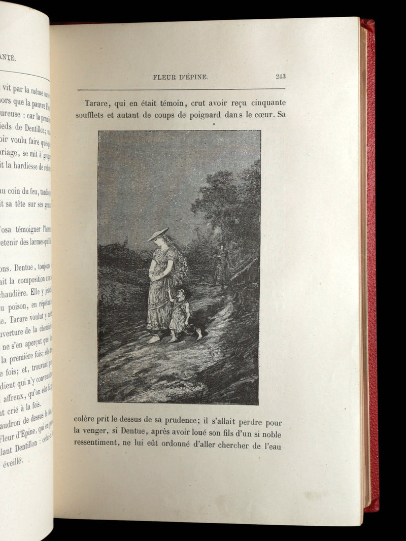 1883 Rare French Book - Le Monde Enchanté -The Enchanting World by M. de Lescure