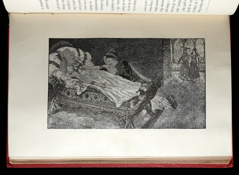 1883 Rare French Book - Le Monde Enchanté -The Enchanting World by M. de Lescure