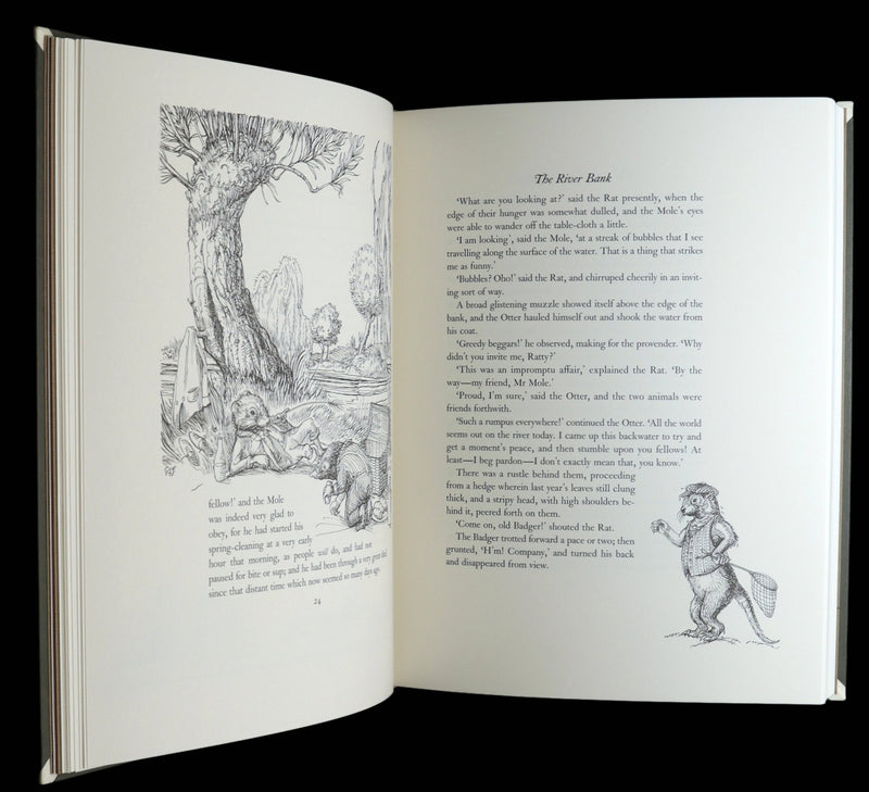 2008 Signed Limited First Edition - Wind in the Willows by Charles van Sandwyk