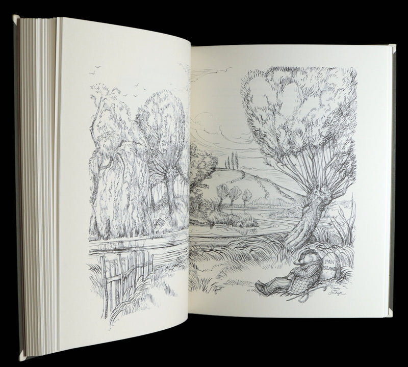 2008 Signed Limited First Edition - Wind in the Willows by Charles van Sandwyk
