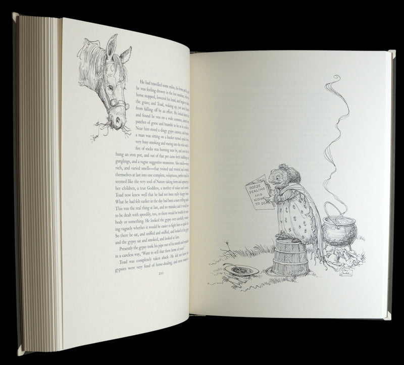 2008 Signed Limited First Edition - Wind in the Willows by Charles van Sandwyk