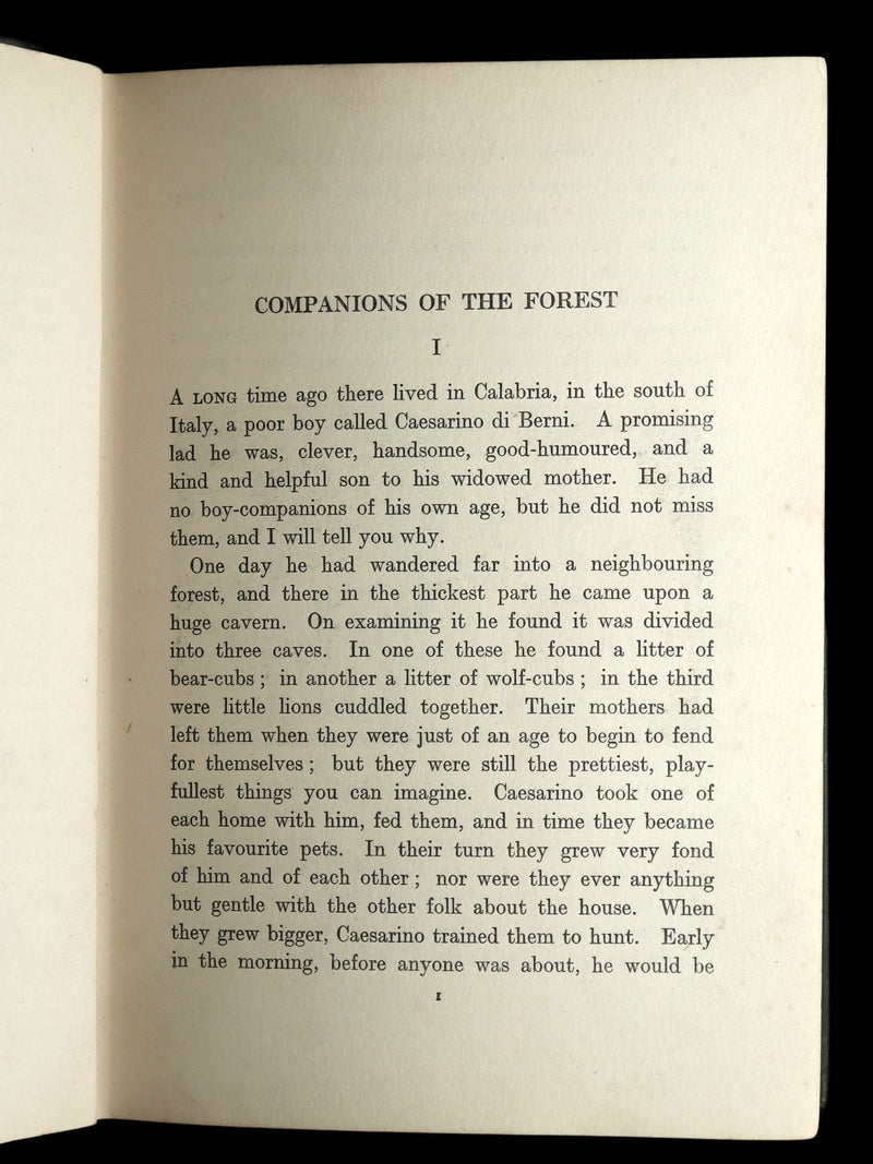 1912 Scarce Book - The Italian Fairy Book illustrated by Morris M. Williams