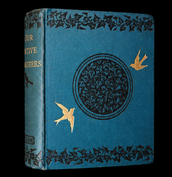 1882 Rare Ornithology Book ~ Our Native Songsters, Illustrated by Anne Pratt