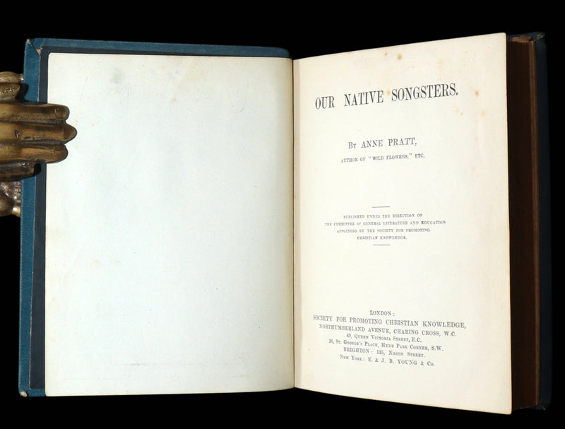 1882 Rare Ornithology Book ~ Our Native Songsters, Illustrated by Anne Pratt