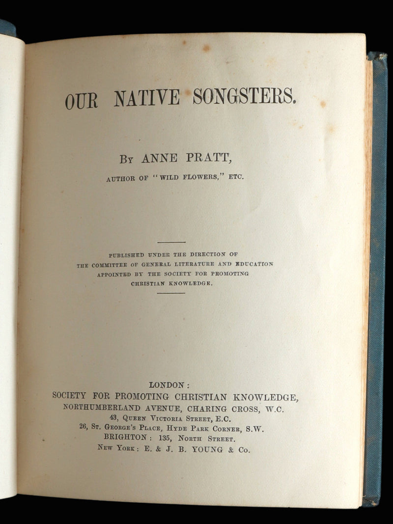 1882 Rare Ornithology Book ~ Our Native Songsters, Illustrated by Anne Pratt