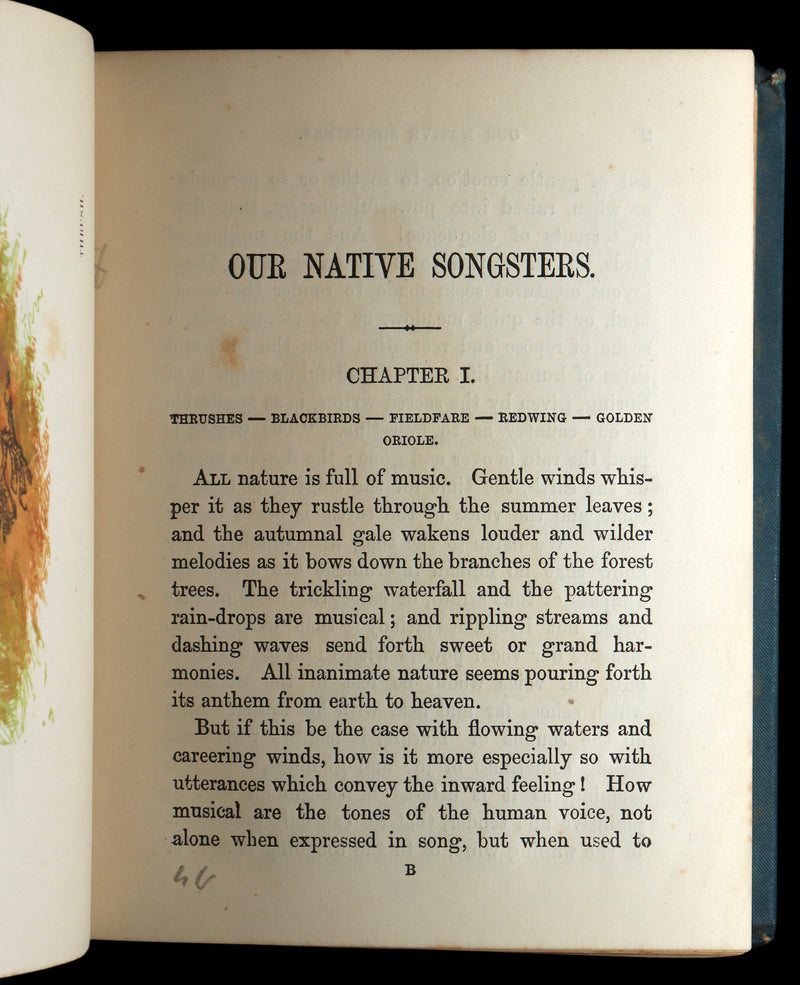 1882 Rare Ornithology Book ~ Our Native Songsters, Illustrated by Anne Pratt