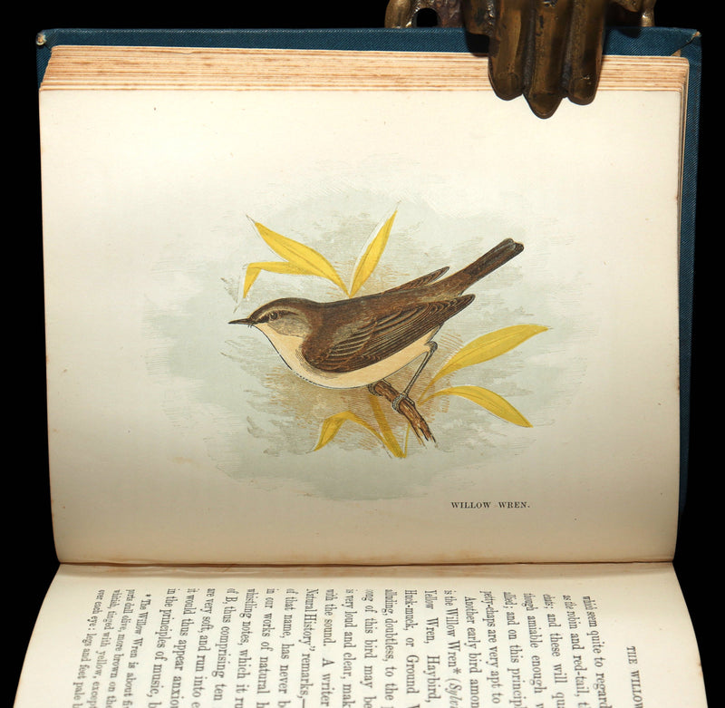 1882 Rare Ornithology Book ~ Our Native Songsters, Illustrated by Anne Pratt