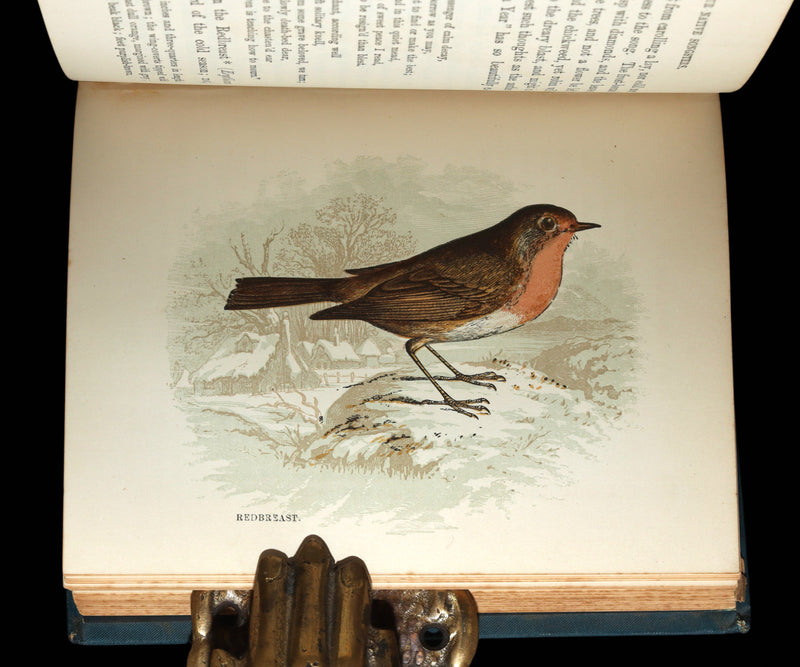 1882 Rare Ornithology Book ~ Our Native Songsters, Illustrated by Anne Pratt