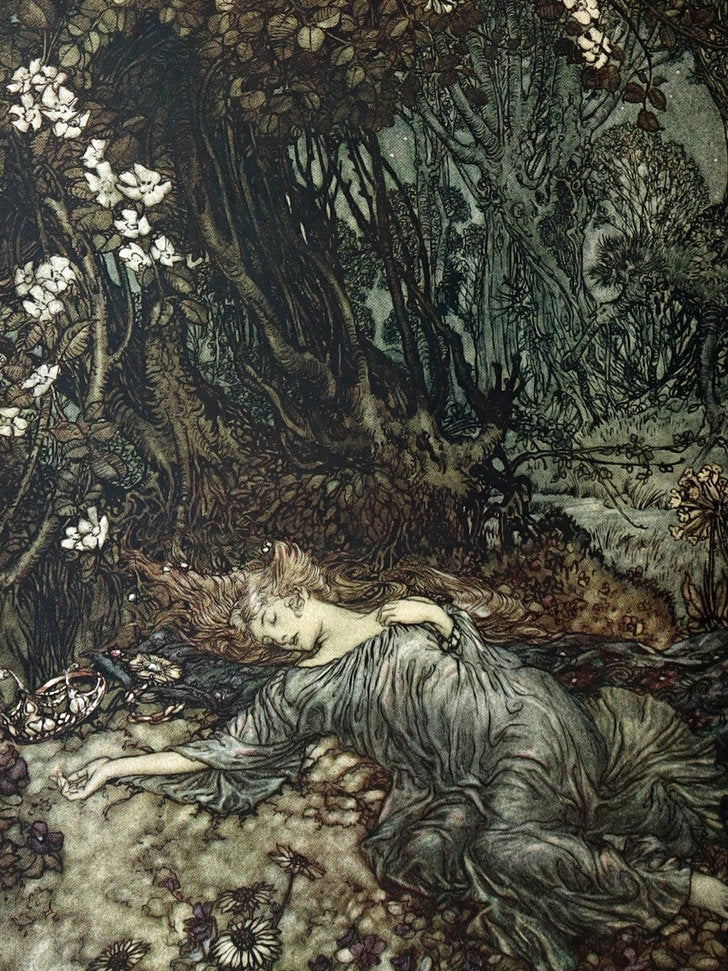 1908 First Edition Illustrated by Rackham - Shakespeare Midsummer Night's Dream