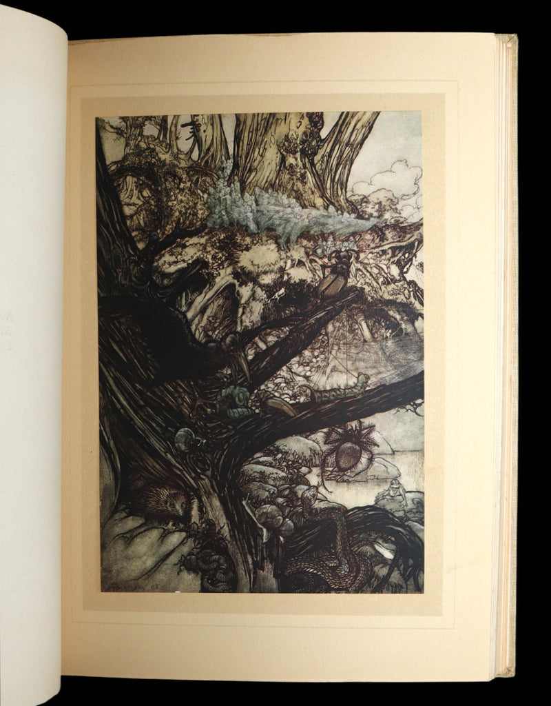 1908 First Edition Illustrated by Rackham - Shakespeare Midsummer Night's Dream