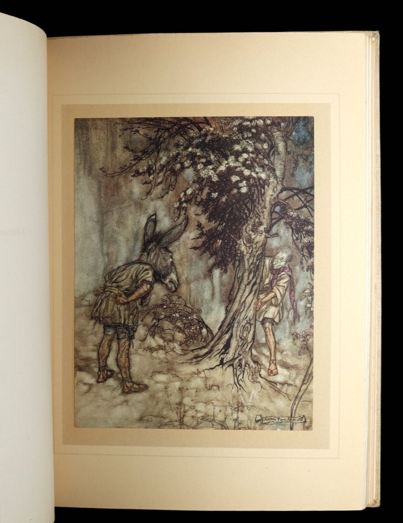 1908 First Edition Illustrated by Rackham - Shakespeare Midsummer Night's Dream
