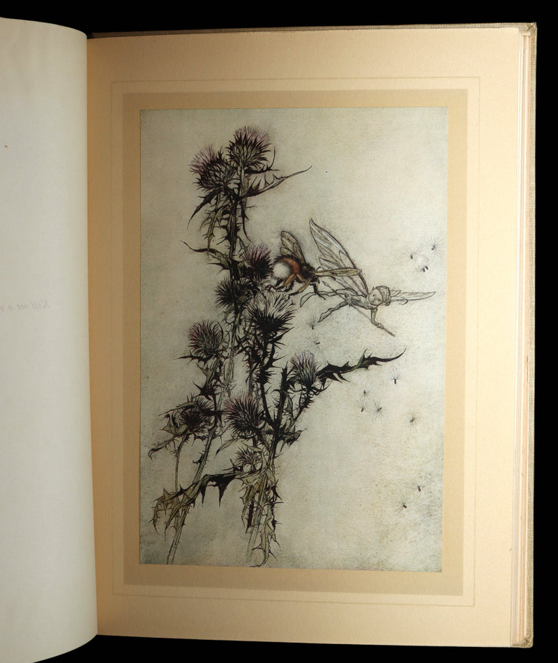 1908 First Edition Illustrated by Rackham - Shakespeare Midsummer Night's Dream