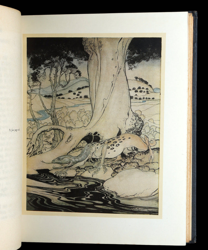 1917 First Edition - he Romance of King Arthur and His Knights by Arthur Rackham