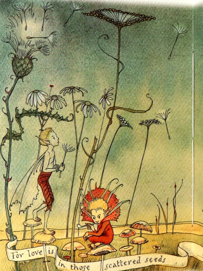 2000 Signed First Edition- The Gnome King’s Treasure Song by Charles van Sandwyk