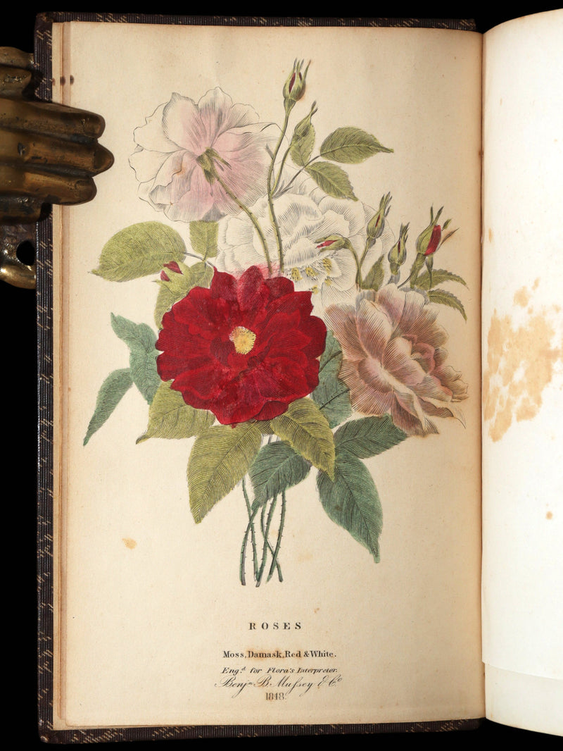 1847 Rare Book - Flora’s Interpreter by Sarah Josepha Hale, Hand-Colored Plates