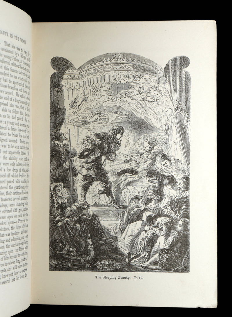 1895 Scarce Victorian Illustrated Edition - Fairy Tales by Charles Perrault