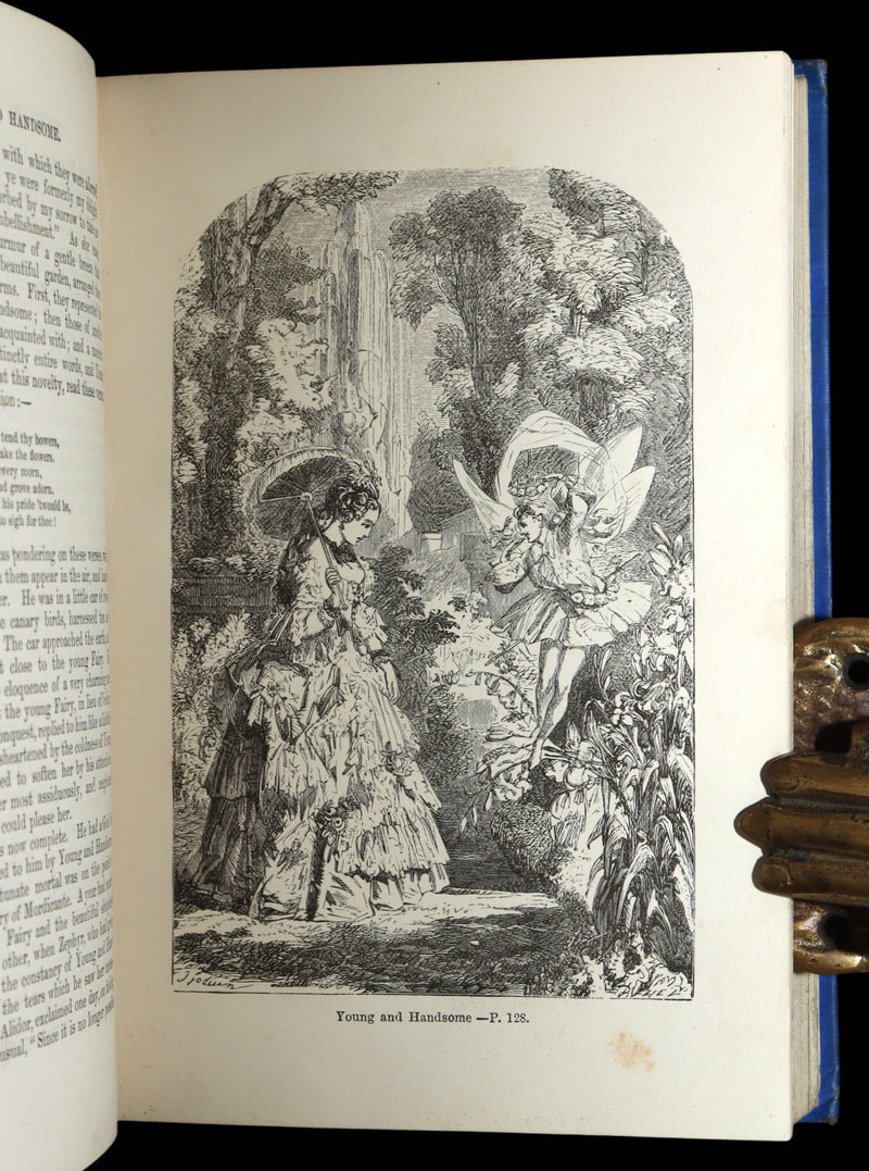 1895 Scarce Victorian Illustrated Edition - Fairy Tales by Charles Perrault