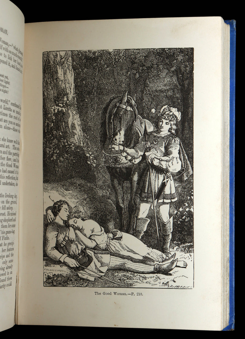 1895 Scarce Victorian Illustrated Edition - Fairy Tales by Charles Perrault