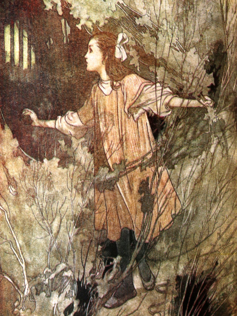 1942 Rare Dust Jacket - The Secret Garden illustrated by Charles Robinson