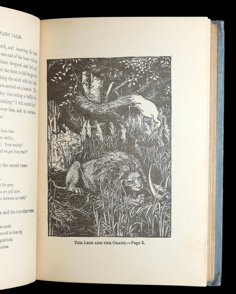 1907 Rare Book - Indian Fairy Tales. Gathered from the Hindoos, Illustrated