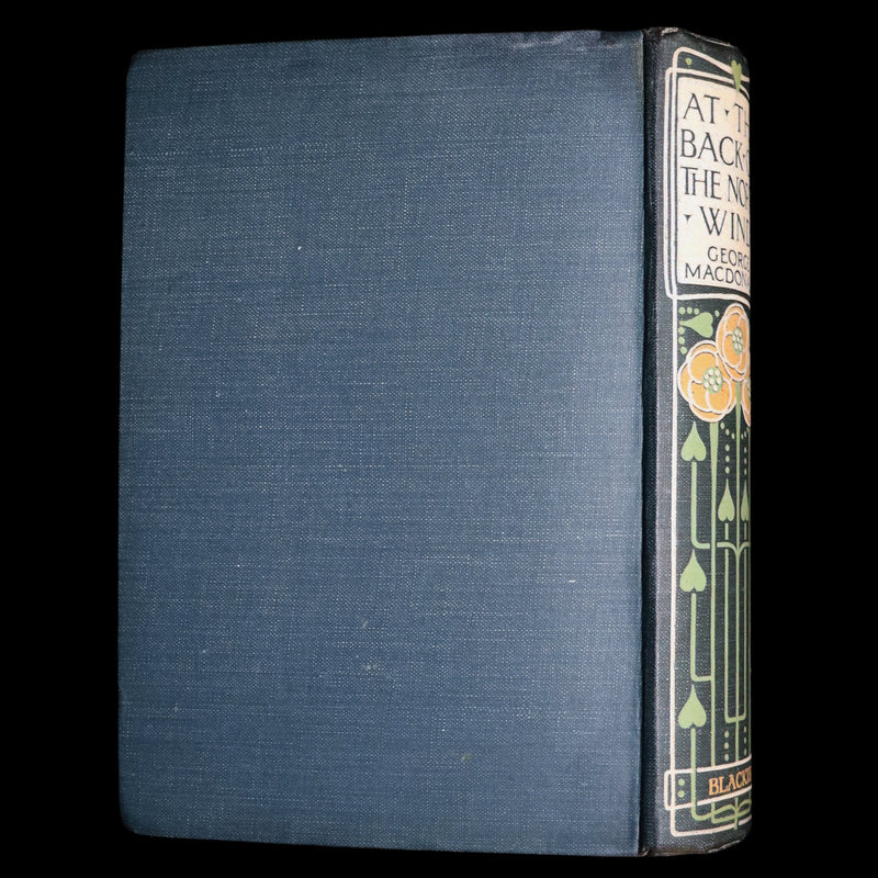 1911 Rare Book - At the Back of the North Wind Illustrated by Frank C. Pape