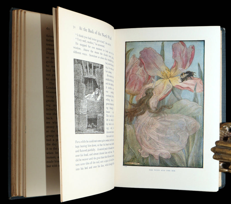 1911 Rare Book - At the Back of the North Wind Illustrated by Frank C. Pape