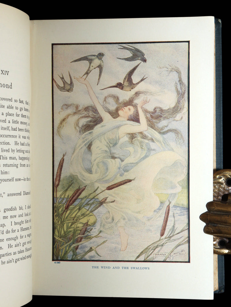 1911 Rare Book - At the Back of the North Wind Illustrated by Frank C. Pape