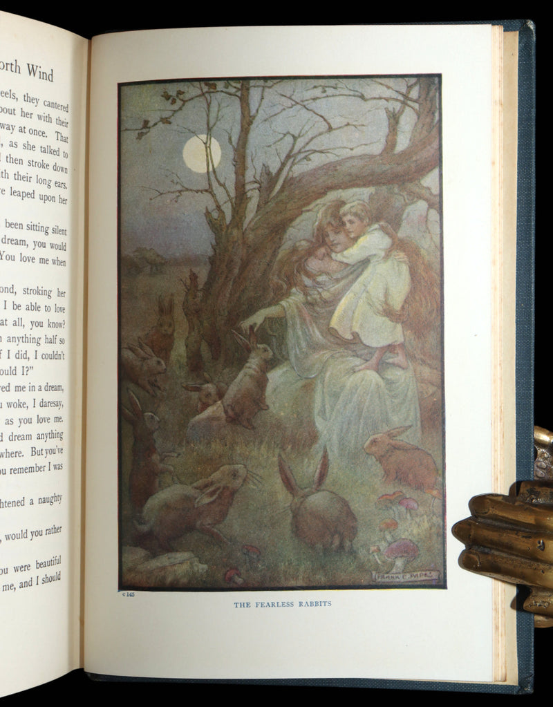 1911 Rare Book - At the Back of the North Wind Illustrated by Frank C. Pape