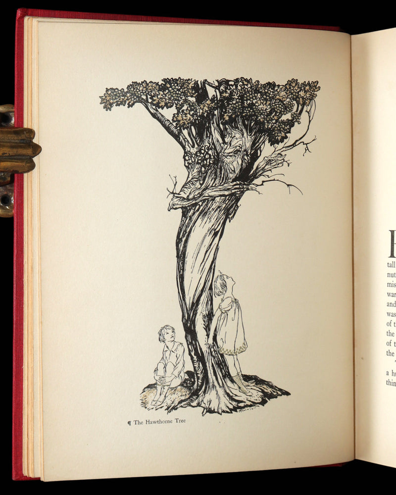 1922 Rare First Edition - Hawthorne's Wonder Book illustrated by Arthur Rackham
